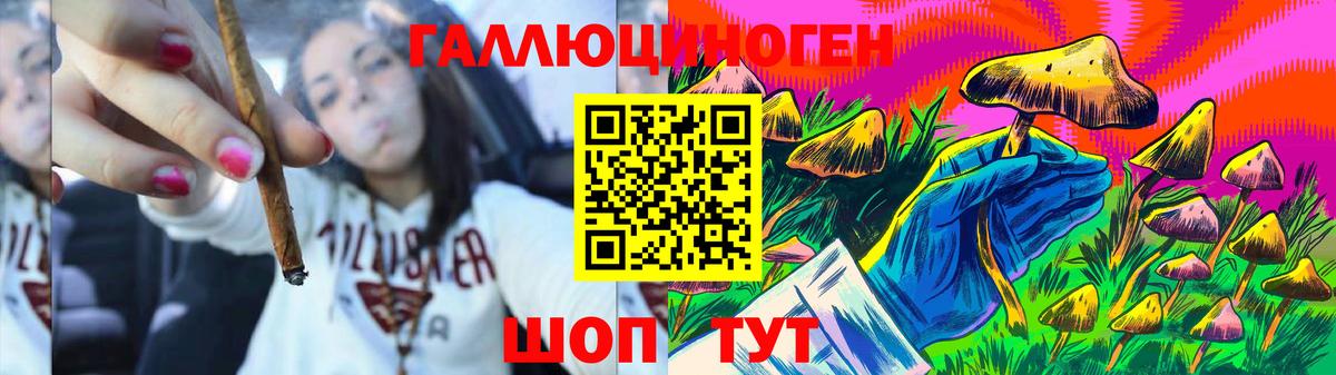 Галлюциногенные грибы Cubensis  Вход с VPN  Старая Купавна  Галлюциногенные грибы мицелий 