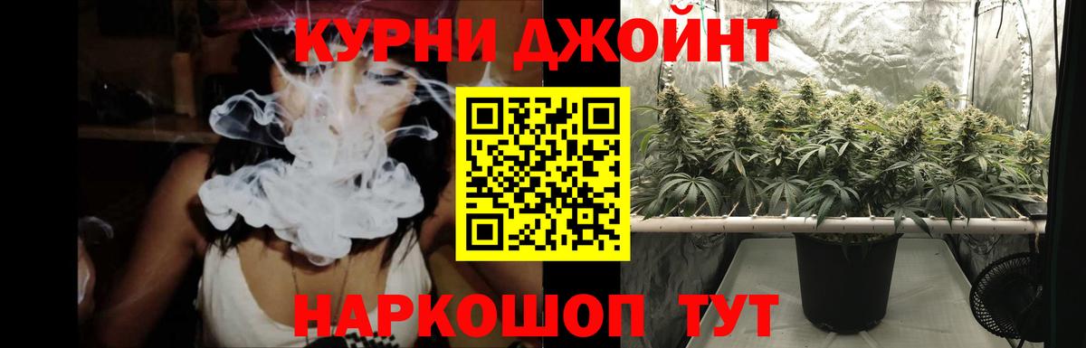 Каннабис сатива Старая Купавна